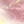  Pink Shell